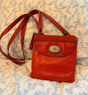 Fossil Crossbody thumbnail 1