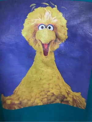 H&M Sesame Street Big Bird Graphic Sweatshirt Green Oversized Large thumbnail 4