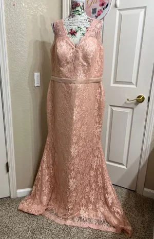 NWT Hebeos Blush Pink Lace V-Neck Prom Dress Gown thumbnail 2