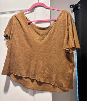 Tan ZARA Top Crop thumbnail 1