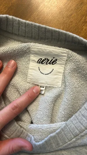 Aerie Down To Earth Sweatshirt thumbnail 4