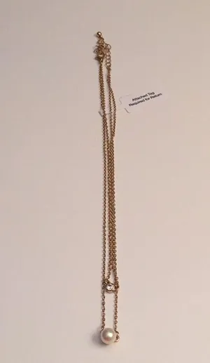 NWT Baublebar double strand necklace. thumbnail 3