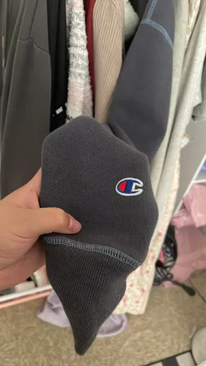 Champion Crop Hoodie Reverse Weave thumbnail 3