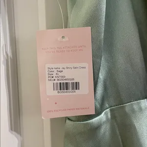NWT Birdy Grey Jay Shiny Satin Dress In Sage Size XL thumbnail 13