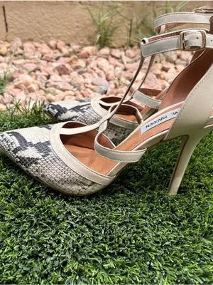 Steve Madden Women's Cream & Black Snake-Print T-Strap Pointed Flats thumbnail 3