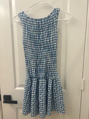 House of Spence blue and white gingham dress thumbnail 6