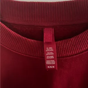 Skims Cotton Fleece Crewneck- Limited Edition Brick thumbnail 2