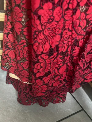 Ellie Wilde mon Cheri red and tan lace gown size 4 thumbnail 9
