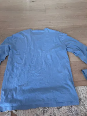 Blue American Eagle thumbnail 2