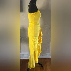 💛TIANMI Mesh Slip Ruffle Maxi Dress💛 ~M NWT thumbnail 9