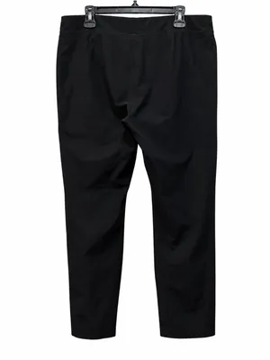 Eileen Fisher Black Washable Stretch Crepe Pants with Ankle Zippers Size L thumbnail 3