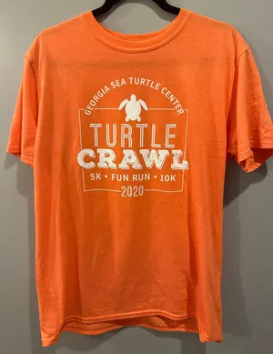 Comfort Colors Gildan 2020 Turtle Walk thumbnail 1