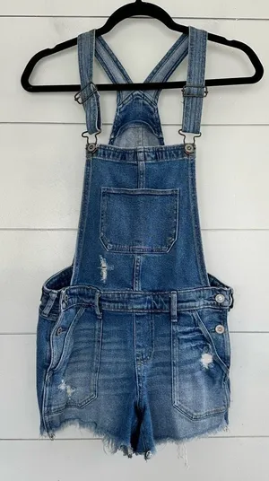 Hollister Women’s Small Blue Denim Boyfriend Overalls thumbnail 1