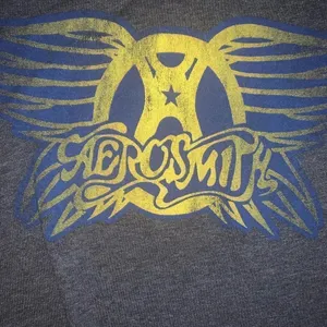 Mudd Women's shirt Size Juniors medium Aerosmith rock band gray baby tee thumbnail 3