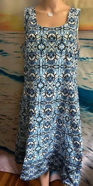 The Limited Women’s Blue & White Floral Sleeveless Printed A-Line Dress 14 thumbnail 1