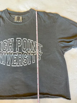 High Point University Gray Tee + Black Adidas Tee + Purple HPU Shorts Set Sz M thumbnail 6