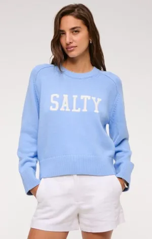 Abercrombie & Fitch Sweater Salty Large Blue Graphic Crewneck Coastal Preppy thumbnail 1