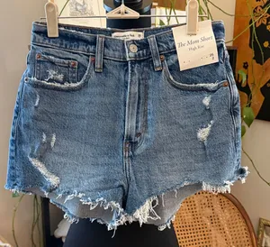 NWT Abercrombie & Fitch Curve Love The Mom High Rise Denim Jean Shorts thumbnail 1