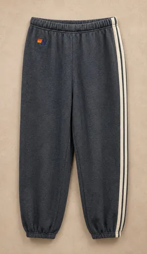 Aviator Nation Women Sweatpants S Charcoal Grey 5-Stripe Logo Joggers thumbnail 1