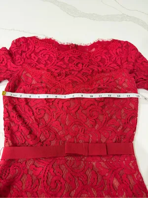 Tadashi Shoji Red Lace Maxi Dress with Three-Quarter Sleeves thumbnail 10