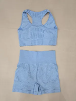Gymshark Seamless Light Blue Sports Bra & High-Waist Shorts Set Size S thumbnail 2