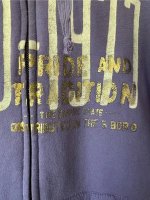 Vintage American Eagle Outfitters purple Zip-Up Hoodie Jacket size large thumbnail 3