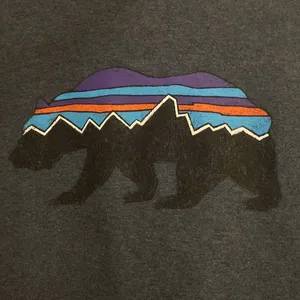 PATAGONIA Graphic Uprisal. Women’s navy blue hoodie size M thumbnail 3