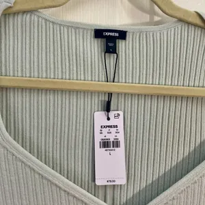 NWT Express Ribbed V Neck Fitted Long Sleeve Top Mint Green Size L Stretch thumbnail 4
