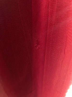 Windsor Red Dress thumbnail 2