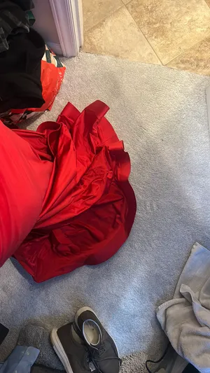 Cousin Couture prom dress thumbnail 8