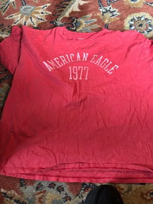 American Eagle Outfitters Tshirt thumbnail 1