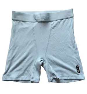 Comfrt Powder Blue Boxer Briefs Sz L Size L thumbnail 1