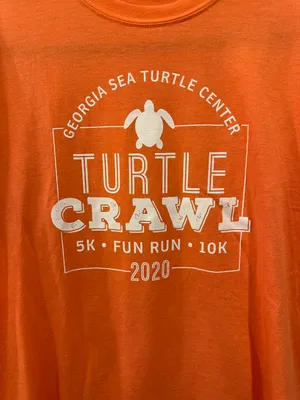 Comfort Colors Gildan 2020 Turtle Walk thumbnail 3