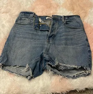 PacSun Shorts thumbnail 1