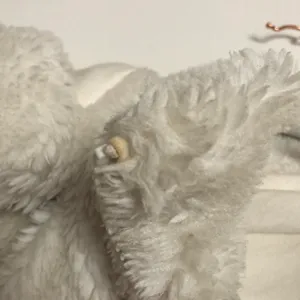 Alo Foxy Sherpa Jacket Ivory XS thumbnail 5