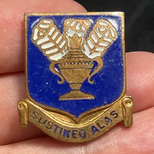 WW2 USAAF Army Air Force Technical School DI DUI Crest Sustineo Alas Brooch Pin thumbnail 1