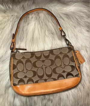 Coach Signature Demi Mini Bag thumbnail 1