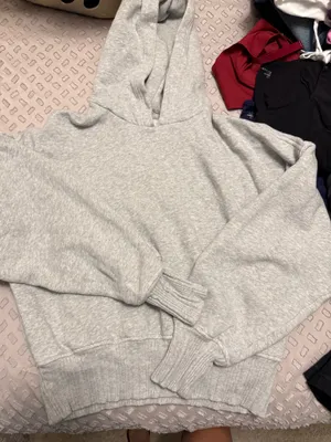 Aerie Hoodie thumbnail 1