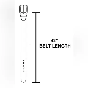 Double Buckle Faux Leather Belt in Brown thumbnail 4