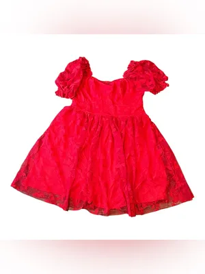 SBetro Plus 1XL Red Lace Overlay Puff Sleeve Sweetheart Mini Dress Coquette NWT thumbnail 3