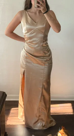 Birdy Grey Champagne Satin Dress thumbnail 1