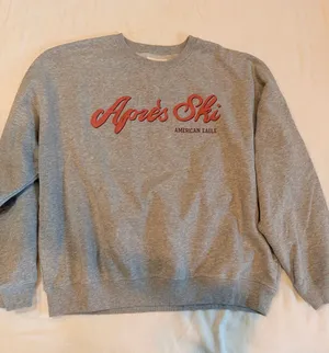 American Eagle Après Ski Graphic Crewneck Sweatshirt Gray Large Cozy Fleece thumbnail 1