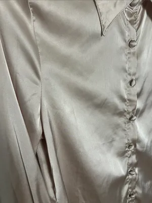 Amazon Women's Satin Button-Up Blouse in Champagne thumbnail 2