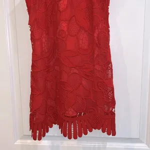 Lovers + friends Caspian red lace sleeveless party cocktail dress size xsmall thumbnail 12