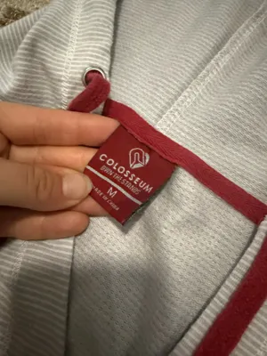 Colosseum Florida State University Hoodie thumbnail 3