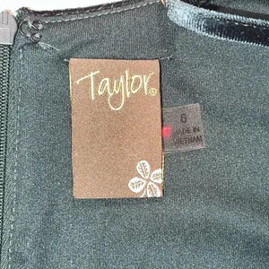 Taylor | NWT Dark Emerald Stretch Velvet Maxi Dress | Size 6 thumbnail 9