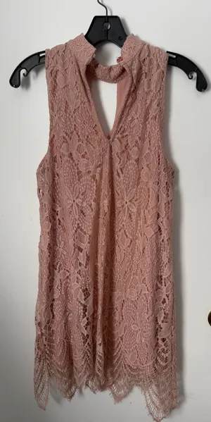 Dusty rose sleeveless lace dress thumbnail 1