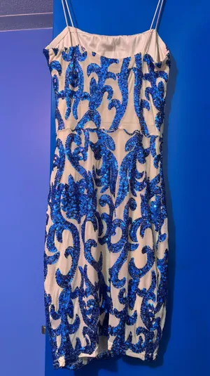 Windsor Dress thumbnail 2