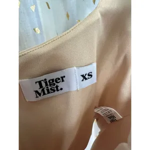Tiger Mist Mesh Square Neckline Back Zip Nude Boning Bodice V Hem Corset Top XS thumbnail 5