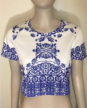 Zaful Porcelain Short Sleeve Crop Top NWT! thumbnail 3
